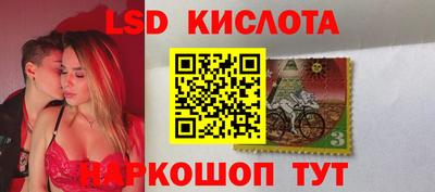 гидра Кандалакша