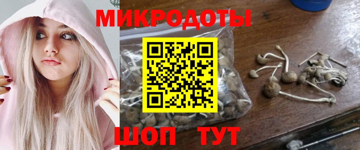 где найти наркотики  Вход с VPN  Кропоткин  Псилоцибиновые грибы мицелий 