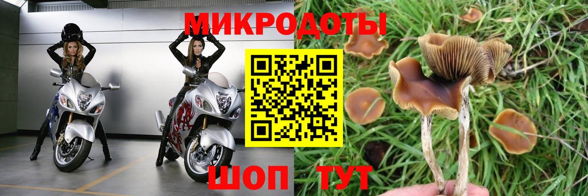 Галлюциногенные грибы MAGIC MUSHROOMS Кропоткин